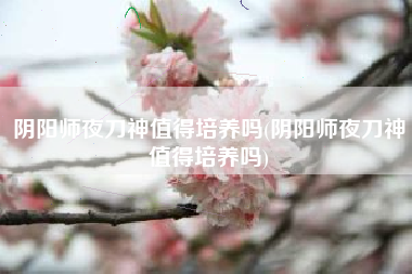 阴阳师夜刀神值得培养吗(阴阳师夜刀神值得培养吗)