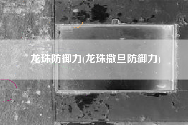 龙珠防御力(龙珠撒旦防御力)