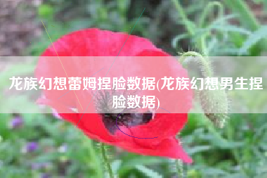 龙族幻想蕾姆捏脸数据(龙族幻想男生捏脸数据)