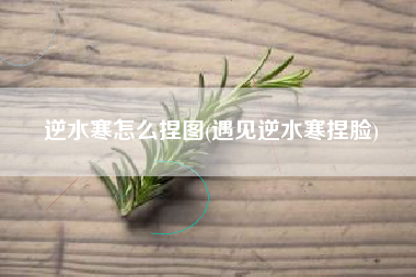逆水寒怎么捏图(遇见逆水寒捏脸)