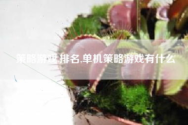 策略游戏.排名,单机策略游戏有什么