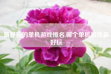 最好玩的单机游戏排名,哪个单机游戏最好玩