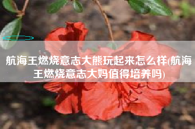 航海王燃烧意志大熊玩起来怎么样(航海王燃烧意志大妈值得培养吗)
