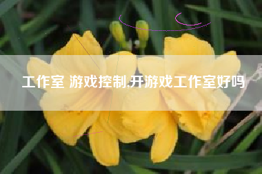 工作室 游戏控制,开游戏工作室好吗