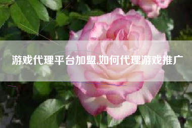 游戏代理平台加盟,如何代理游戏推广