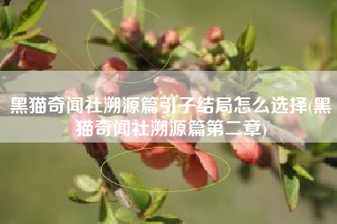 黑猫奇闻社溯源篇引子结局怎么选择(黑猫奇闻社溯源篇第二章)