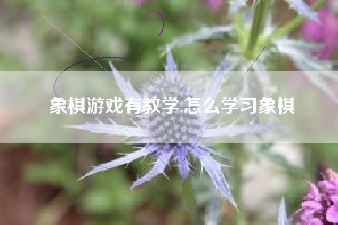 象棋游戏有教学,怎么学习象棋