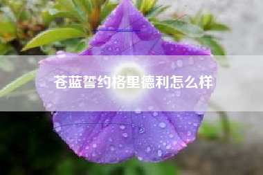 苍蓝誓约格里德利怎么样