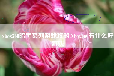 xbox360暗黑系列游戏攻略,Xbox360有什么好游戏