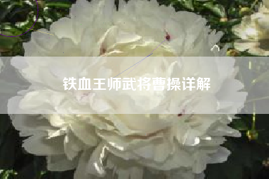 铁血王师武将曹操详解