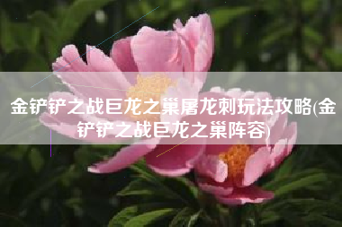 金铲铲之战巨龙之巢屠龙刺玩法攻略(金铲铲之战巨龙之巢阵容)