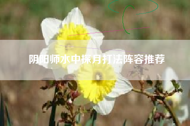 阴阳师水中探月打法阵容推荐