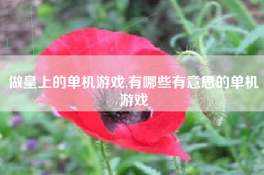 做皇上的单机游戏,有哪些有意思的单机游戏