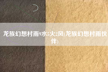 龙族幻想村雨9水5火2风(龙族幻想村雨伙伴)