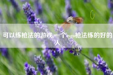 可以练枪法的游戏,一个csgo枪法练的好的人