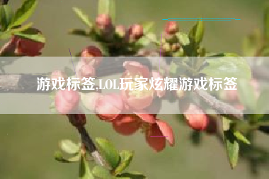 游戏标签,LOL玩家炫耀游戏标签