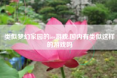 类似梦幻家园的ios游戏,国内有类似这样的游戏吗