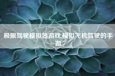 极限驾驶模拟器游戏,模拟飞机驾驶的手游