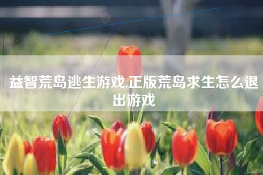 益智荒岛逃生游戏,正版荒岛求生怎么退出游戏