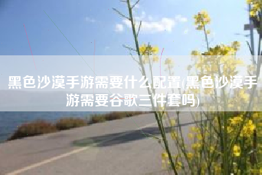 黑色沙漠手游需要什么配置(黑色沙漠手游需要谷歌三件套吗)