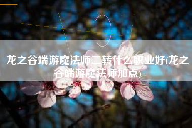 龙之谷端游魔法师二转什么职业好(龙之谷端游魔法师加点)