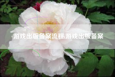 游戏出版备案流程,游戏出版备案