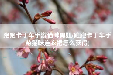 跑跑卡丁车手游猫咪黑妞(跑跑卡丁车手游猫咪连衣裙怎么获得)