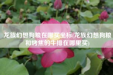 龙族幻想狗粮在哪买坐标(龙族幻想狗粮和烤焦的牛排在哪里买)