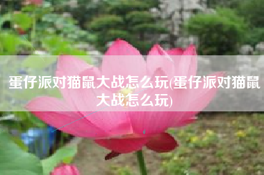 蛋仔派对猫鼠大战怎么玩(蛋仔派对猫鼠大战怎么玩)