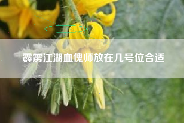 霹雳江湖血傀师放在几号位合适
