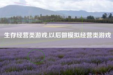 生存经营类游戏,以后做模拟经营类游戏