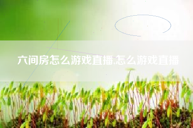 六间房怎么游戏直播,怎么游戏直播