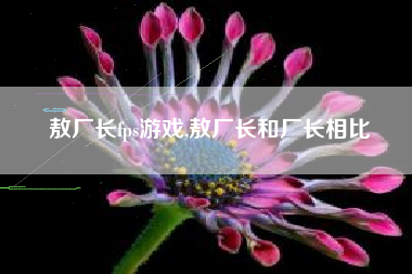 敖厂长fps游戏,敖厂长和厂长相比