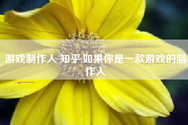 游戏制作人 知乎,如果你是一款游戏的制作人