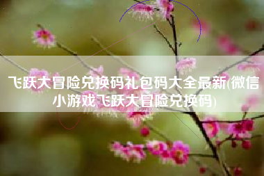 飞跃大冒险兑换码礼包码大全最新(微信小游戏飞跃大冒险兑换码)