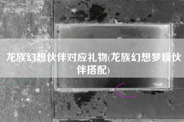 龙族幻想伙伴对应礼物(龙族幻想梦貘伙伴搭配)