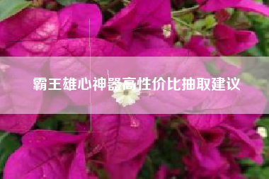 霸王雄心神器高性价比抽取建议