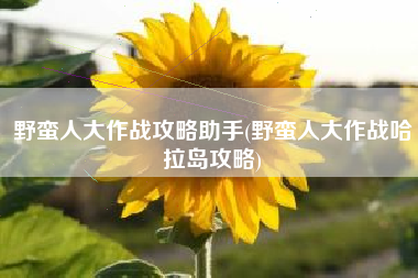 野蛮人大作战攻略助手(野蛮人大作战哈拉岛攻略)