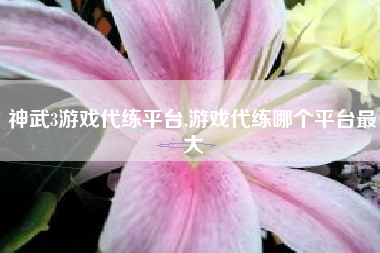 神武3游戏代练平台,游戏代练哪个平台最大
