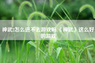 神武2怎么进不去游戏吗,《神武》这么好的游戏