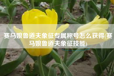 赛马娘鲁道夫象征专属称号怎么获得(赛马娘鲁道夫象征技能)