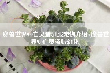 魔兽世界9.0亡灵猎驯服宠物介绍 (魔兽世界9.0亡灵盗贼幻化)