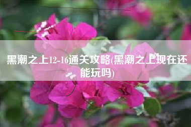 黑潮之上12-16通关攻略(黑潮之上现在还能玩吗)