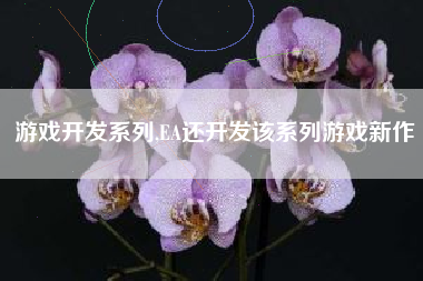 游戏开发系列,EA还开发该系列游戏新作