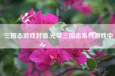 三国志游戏封面,光荣三国志系列游戏中