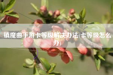镇魔曲手游卡等级解决办法(卡等级怎么办)