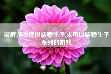 破解游戏模拟结婚生子,求可以结婚生子系列的游戏