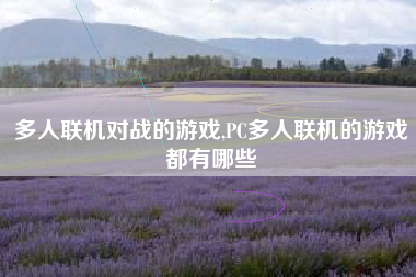 多人联机对战的游戏,PC多人联机的游戏都有哪些