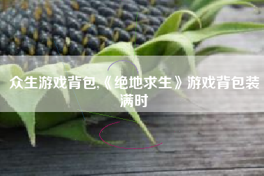 众生游戏背包,《绝地求生》游戏背包装满时