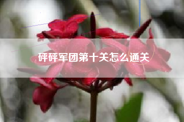 砰砰军团第十关怎么通关